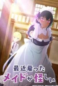 Моя новая горничная очень подозрительна Смотреть Мультсериал